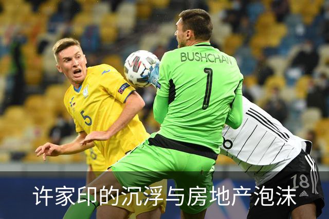许家印的沉浮与房地产泡沫